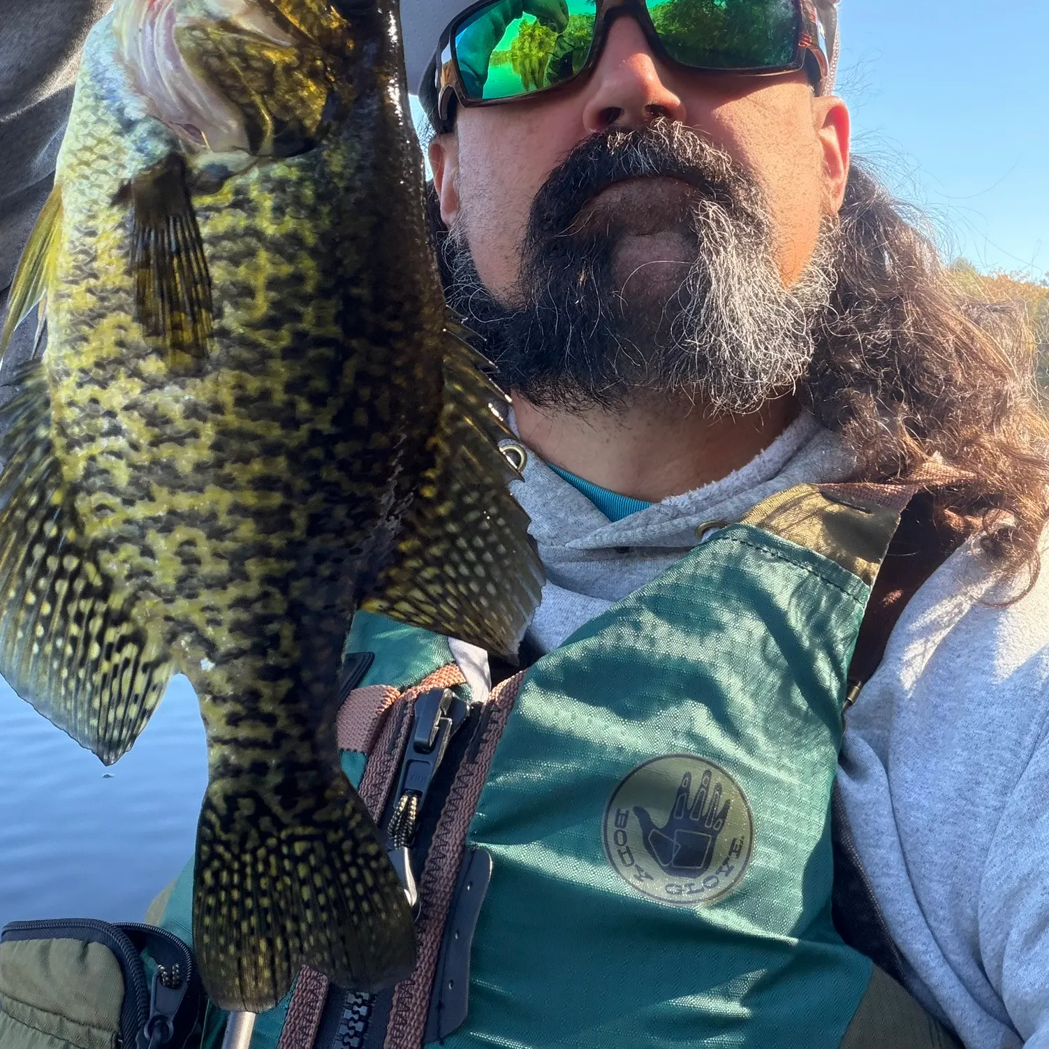 Black crappie caught on Fishbrain