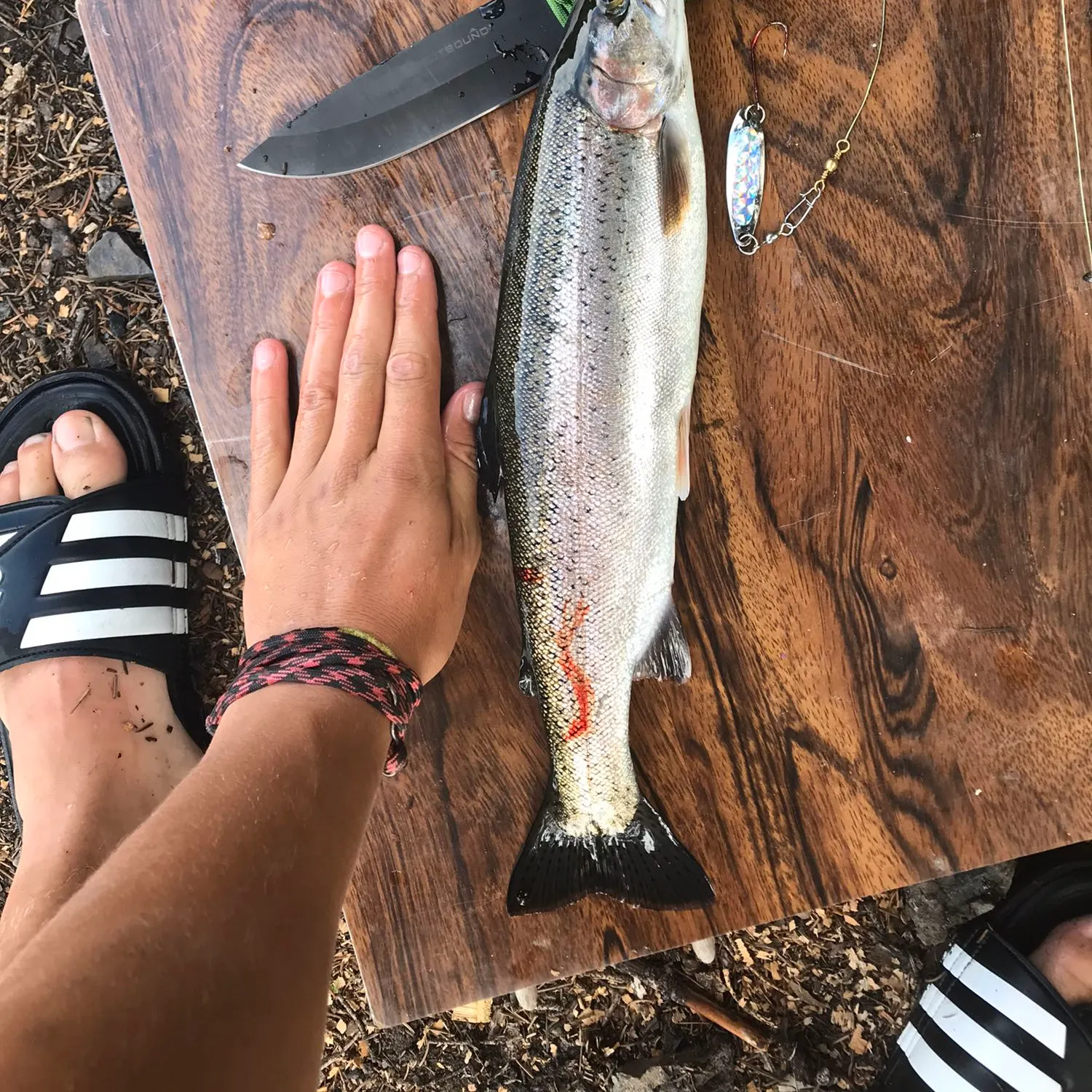 recently logged catches