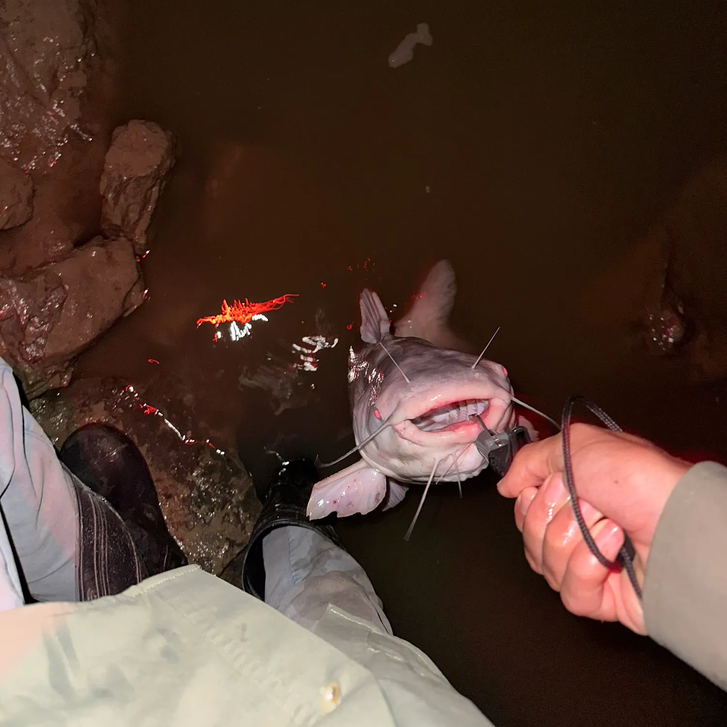 catch
