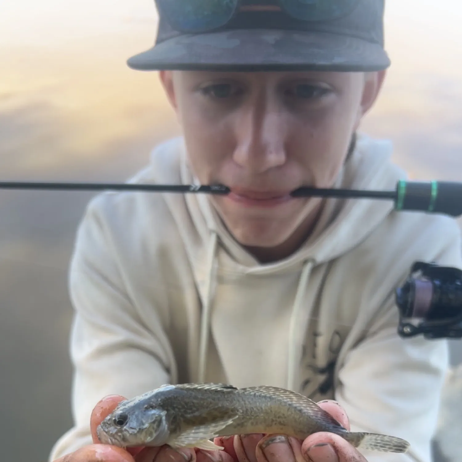 most liked catch image