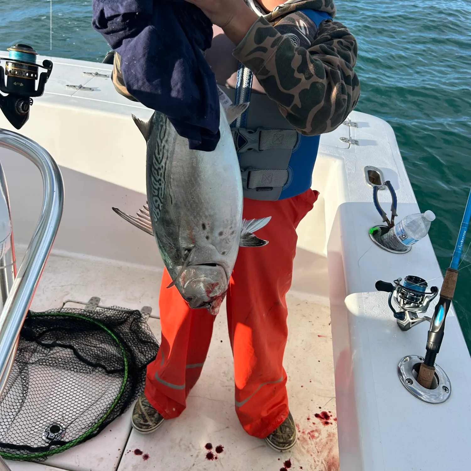 The most recent Little tunny catches on Fishbrain