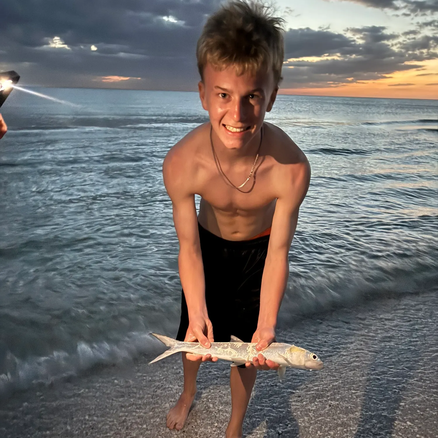 The most recent Ladyfish catches on Fishbrain