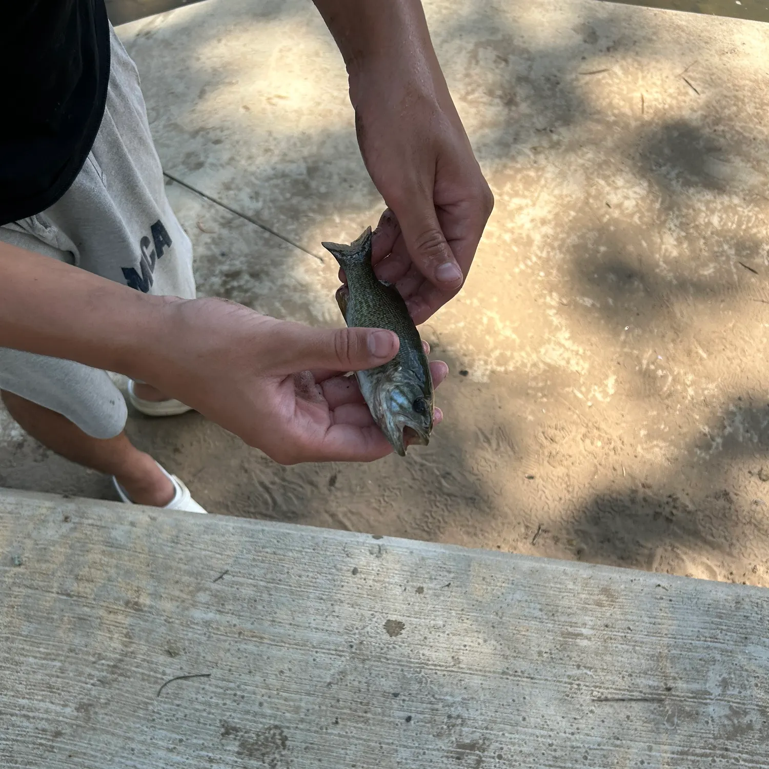 catch