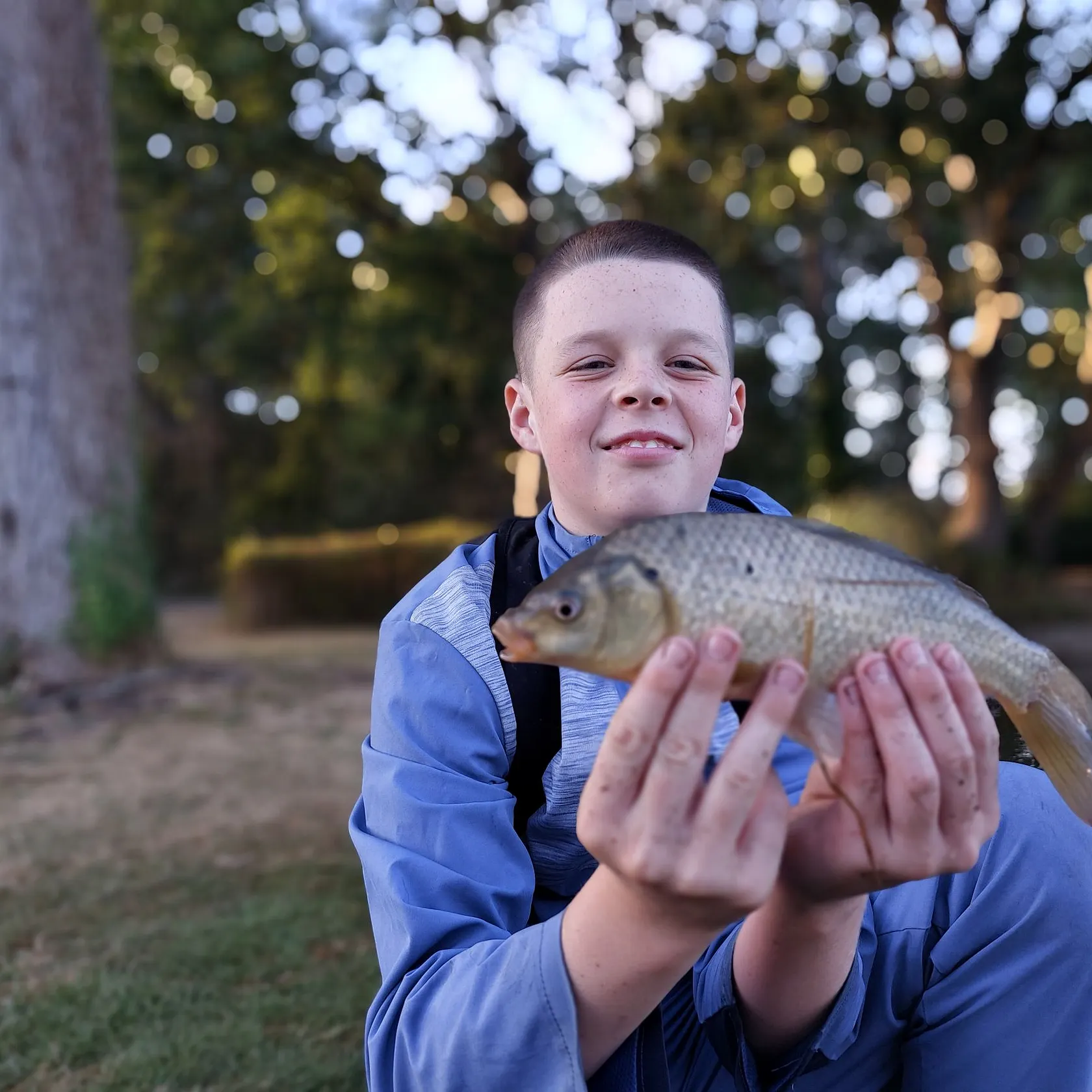 Common carp caught on Fishbrain