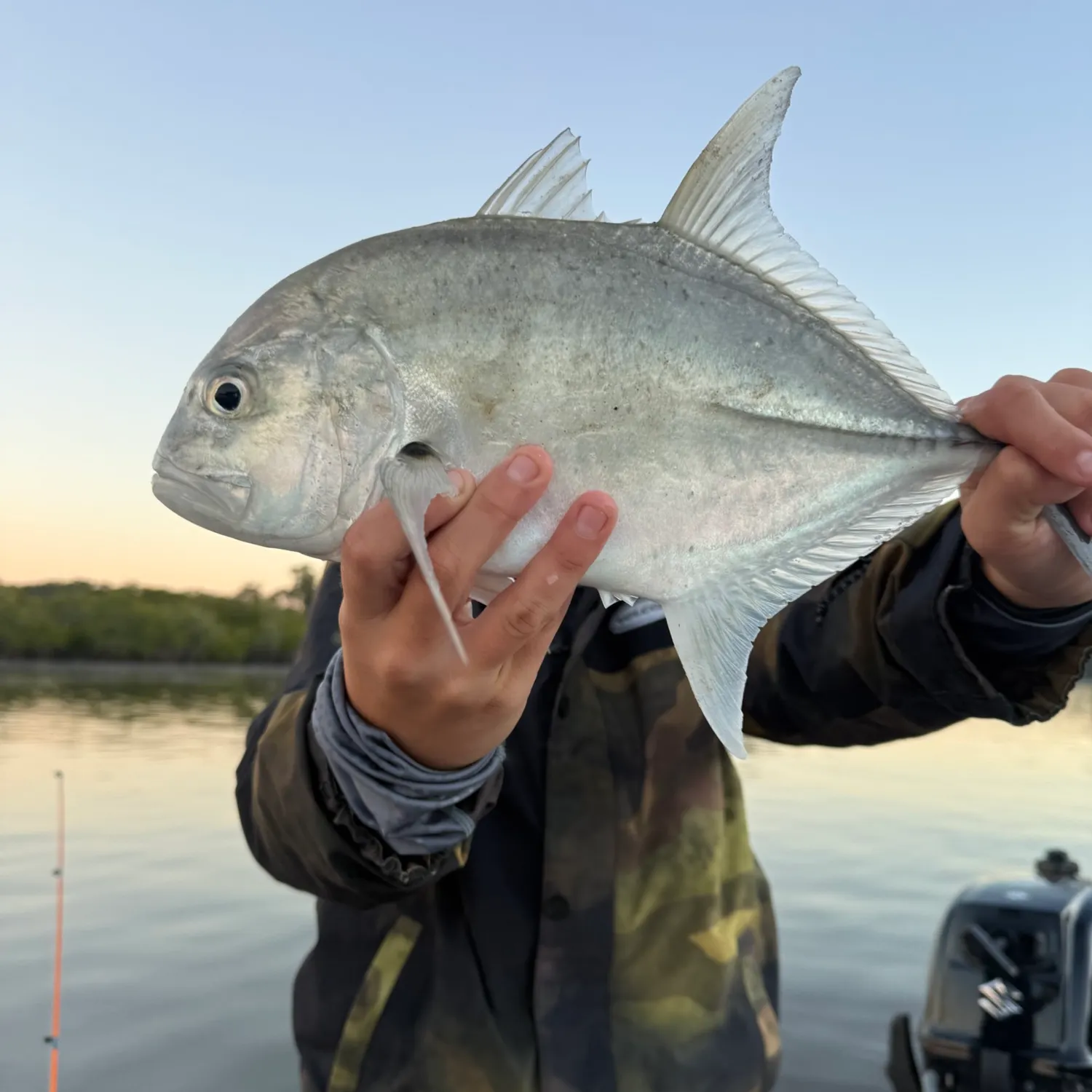 The most recent Brassy trevally catches on Fishbrain