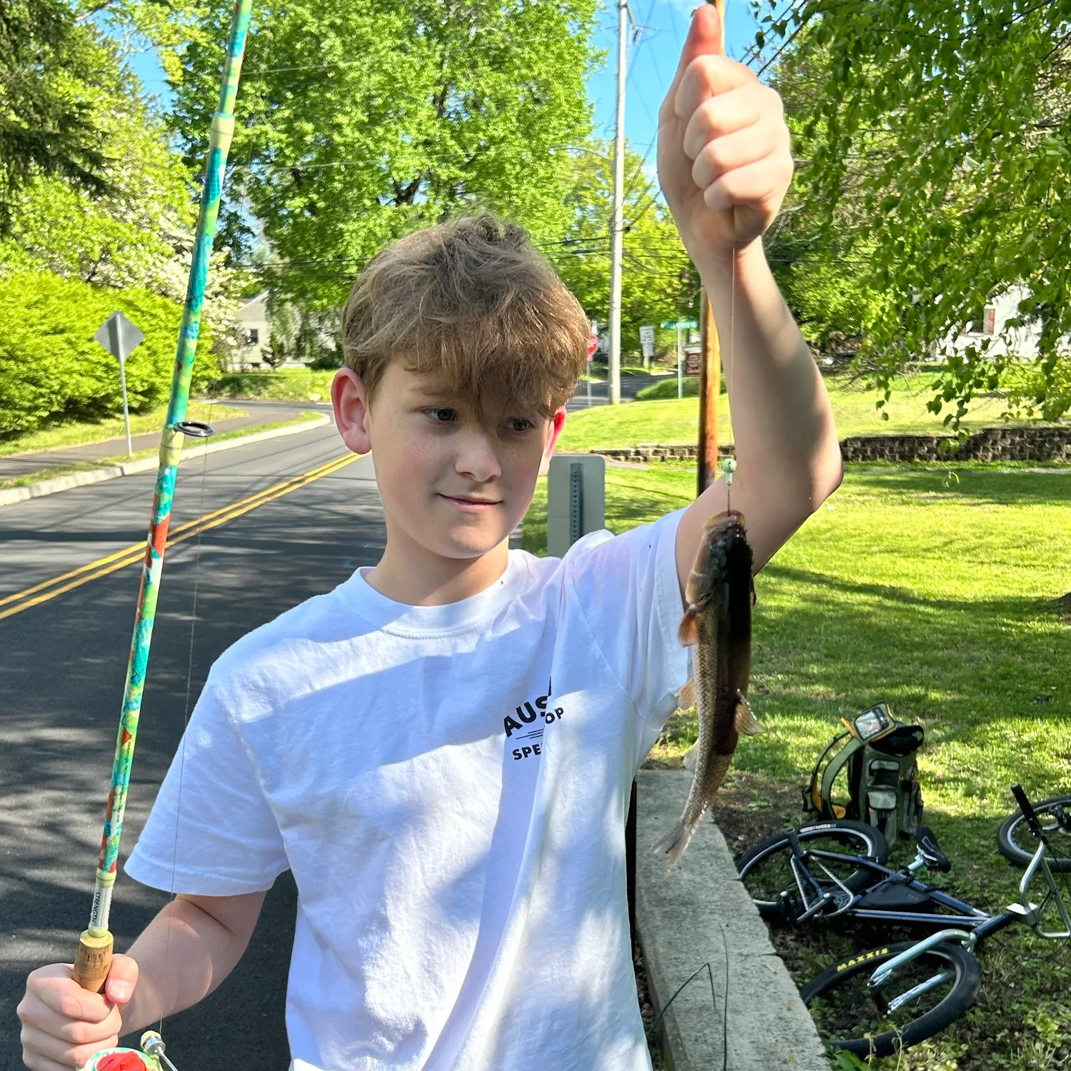 Creek chub caught on Fishbrain