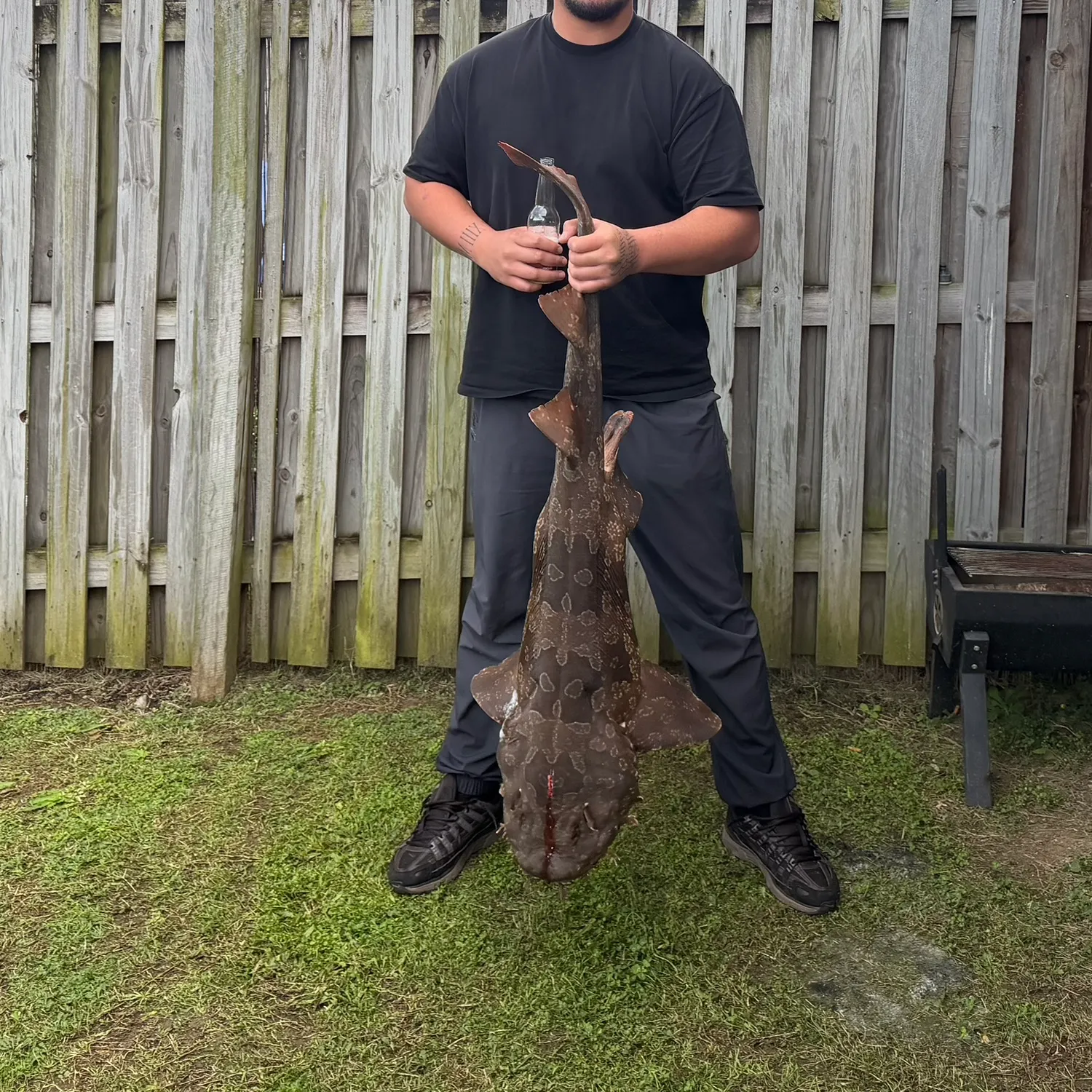 The most recent Spotted wobbegong catches on Fishbrain