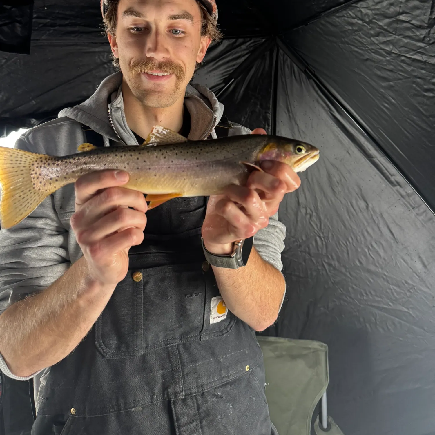 The most recent Cutthroat trout catches on Fishbrain