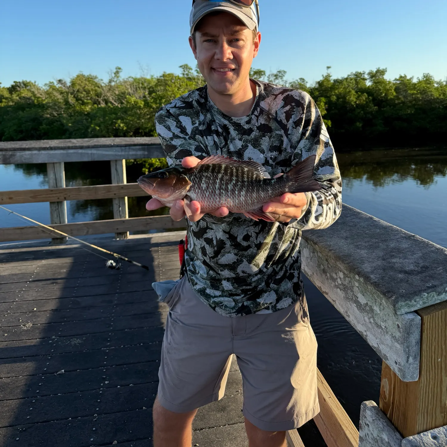 Mangrove snapper caught on Fishbrain