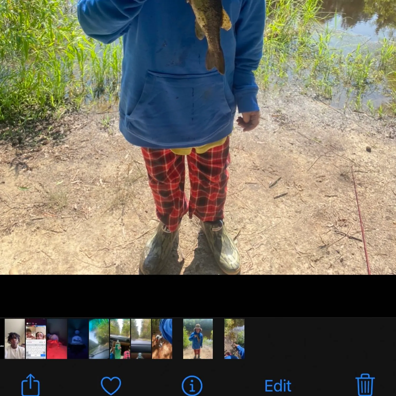 recently logged catches