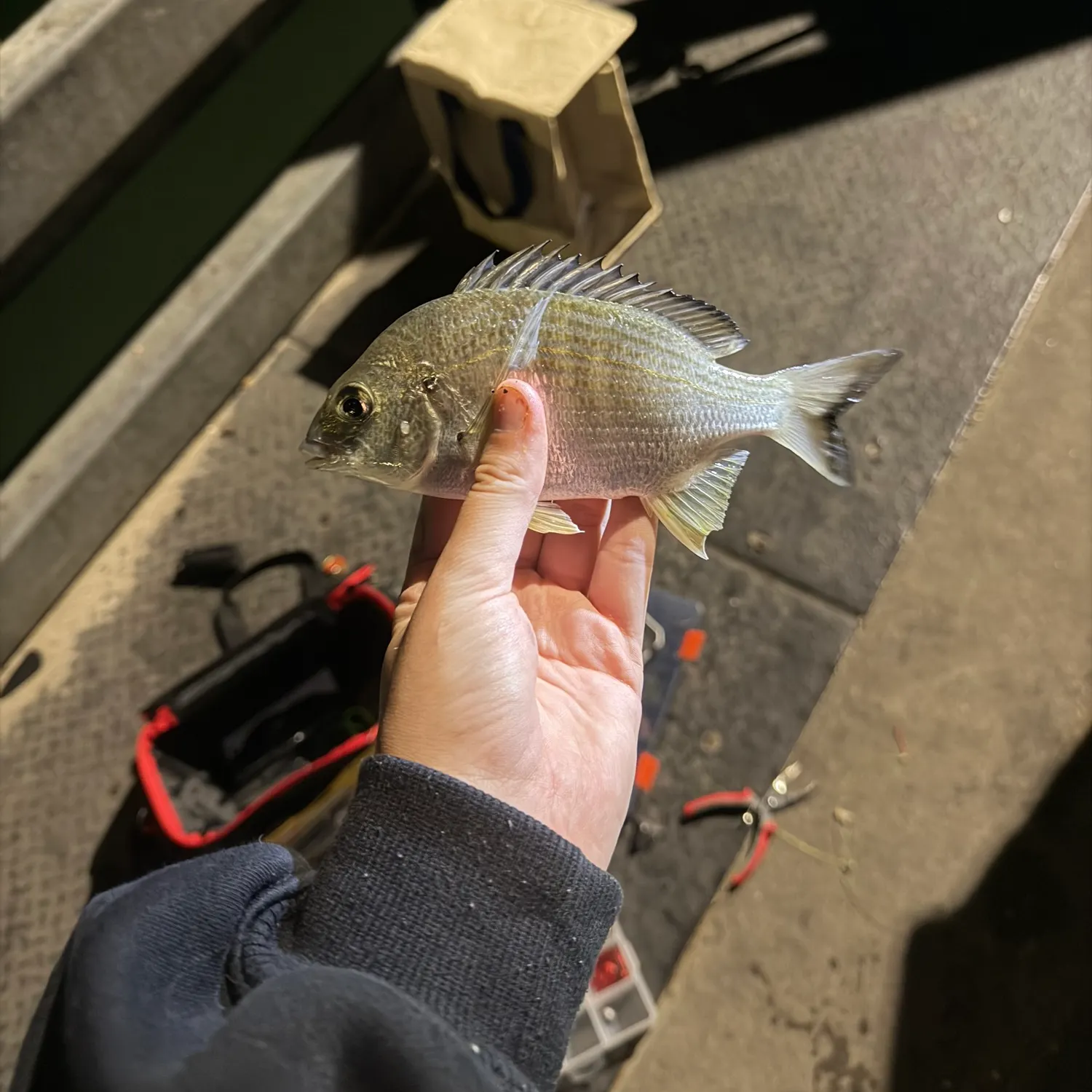 catch
