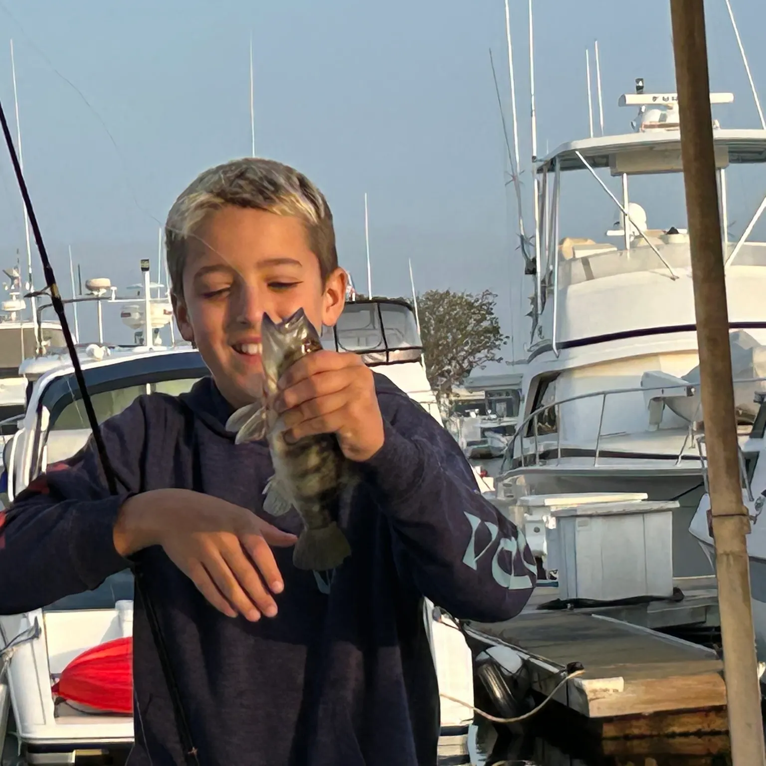 The most recent Spotted sand bass catches on Fishbrain