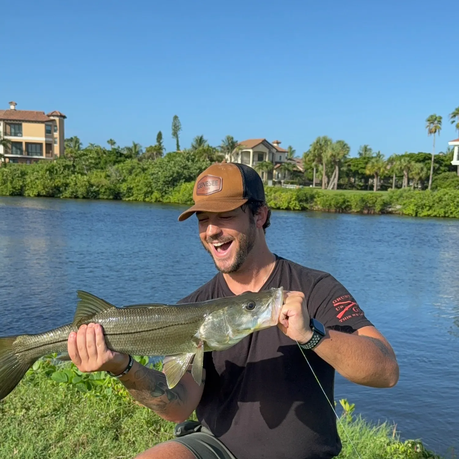 Common snook caught on Fishbrain