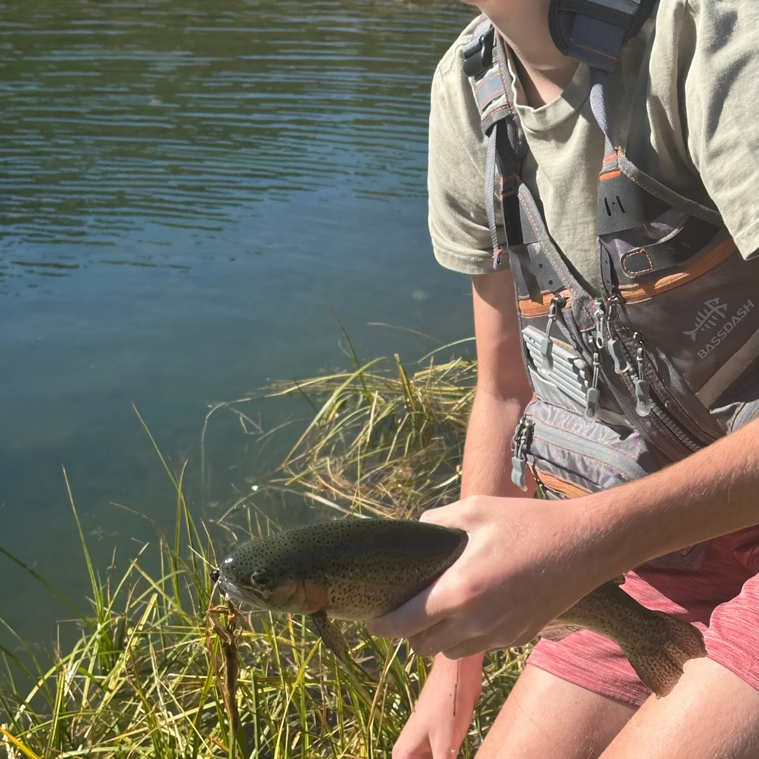 Rainbow trout caught on Fishbrain