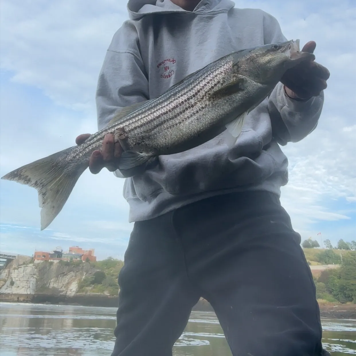 Striped bass caught on Fishbrain