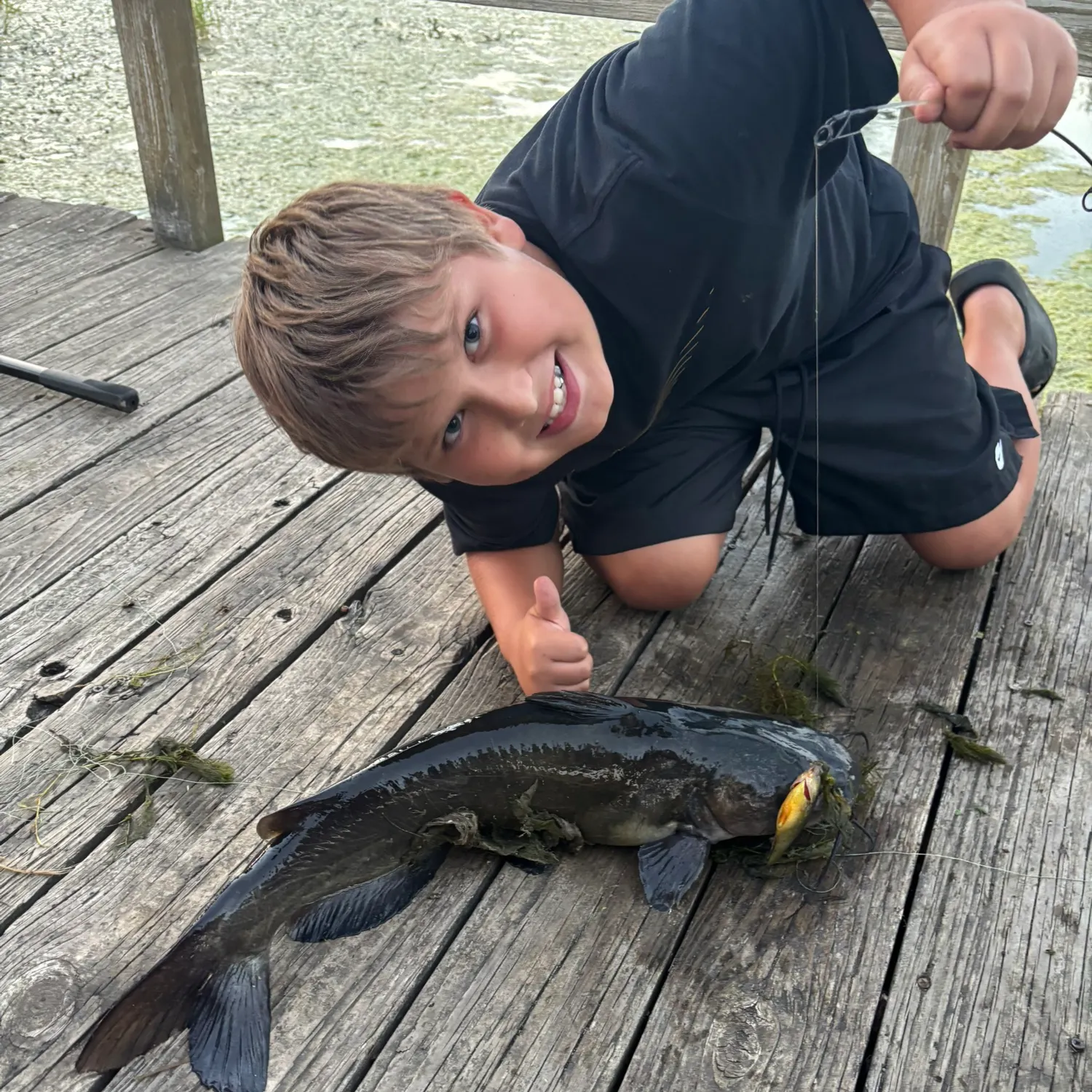 Channel catfish caught on Fishbrain