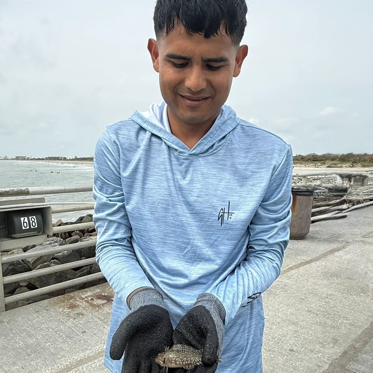 The most recent Hairy blenny catches on Fishbrain