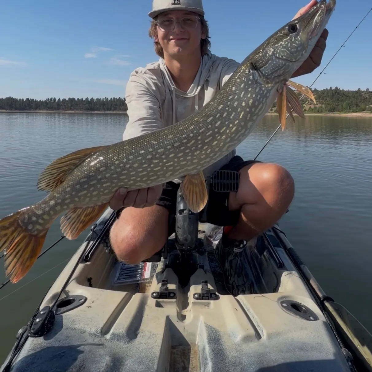 Northern pike caught on Fishbrain