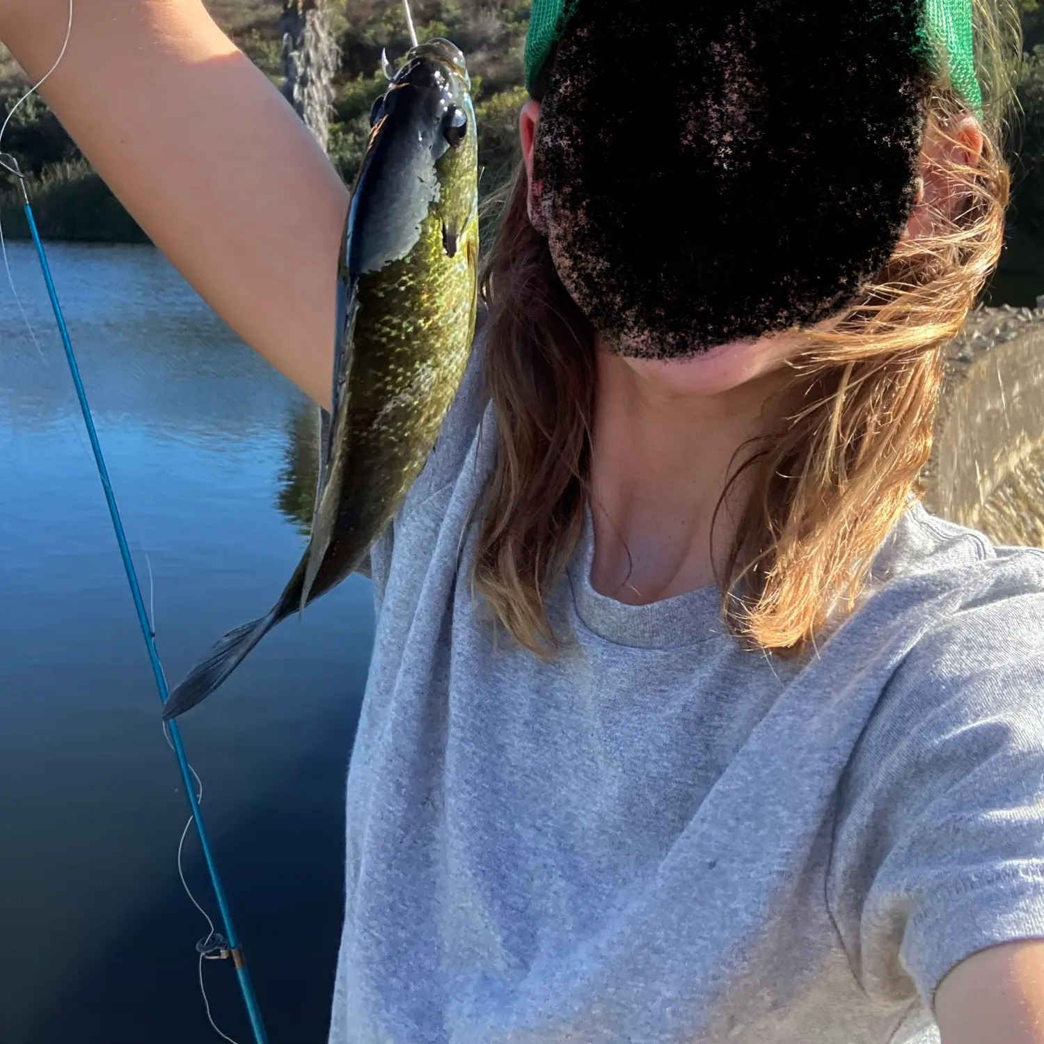 Bluegill caught on Fishbrain