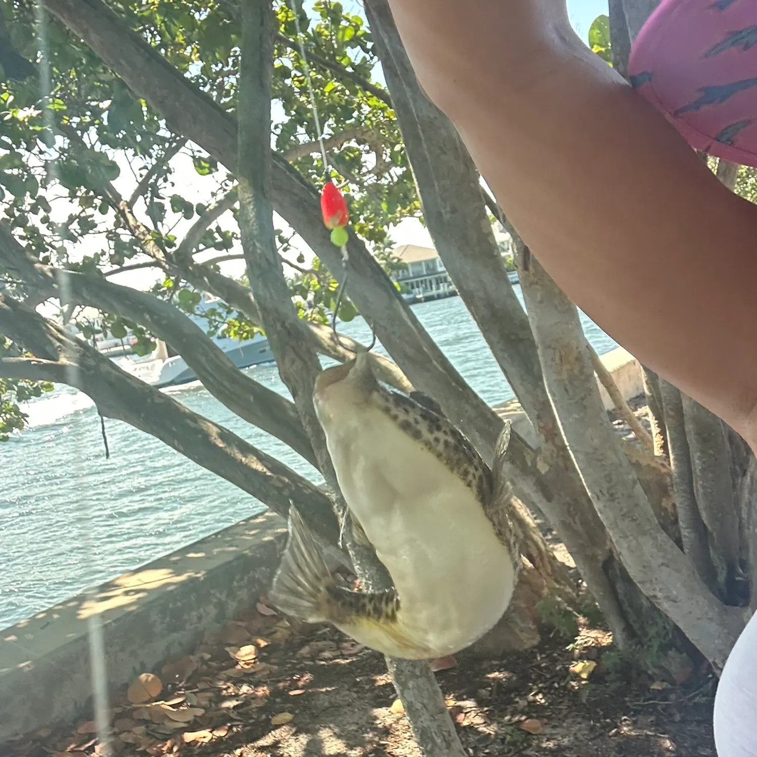 catch