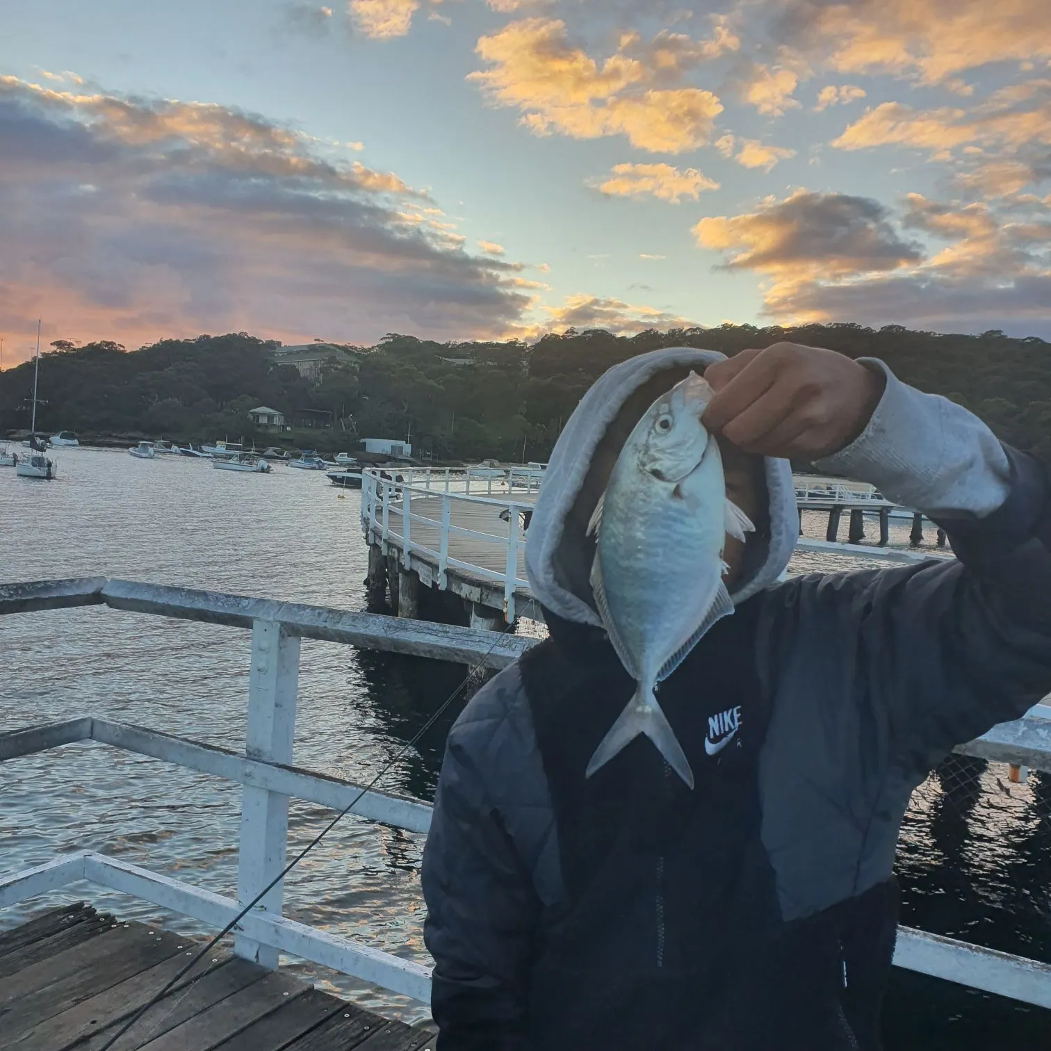 White trevally caught on Fishbrain