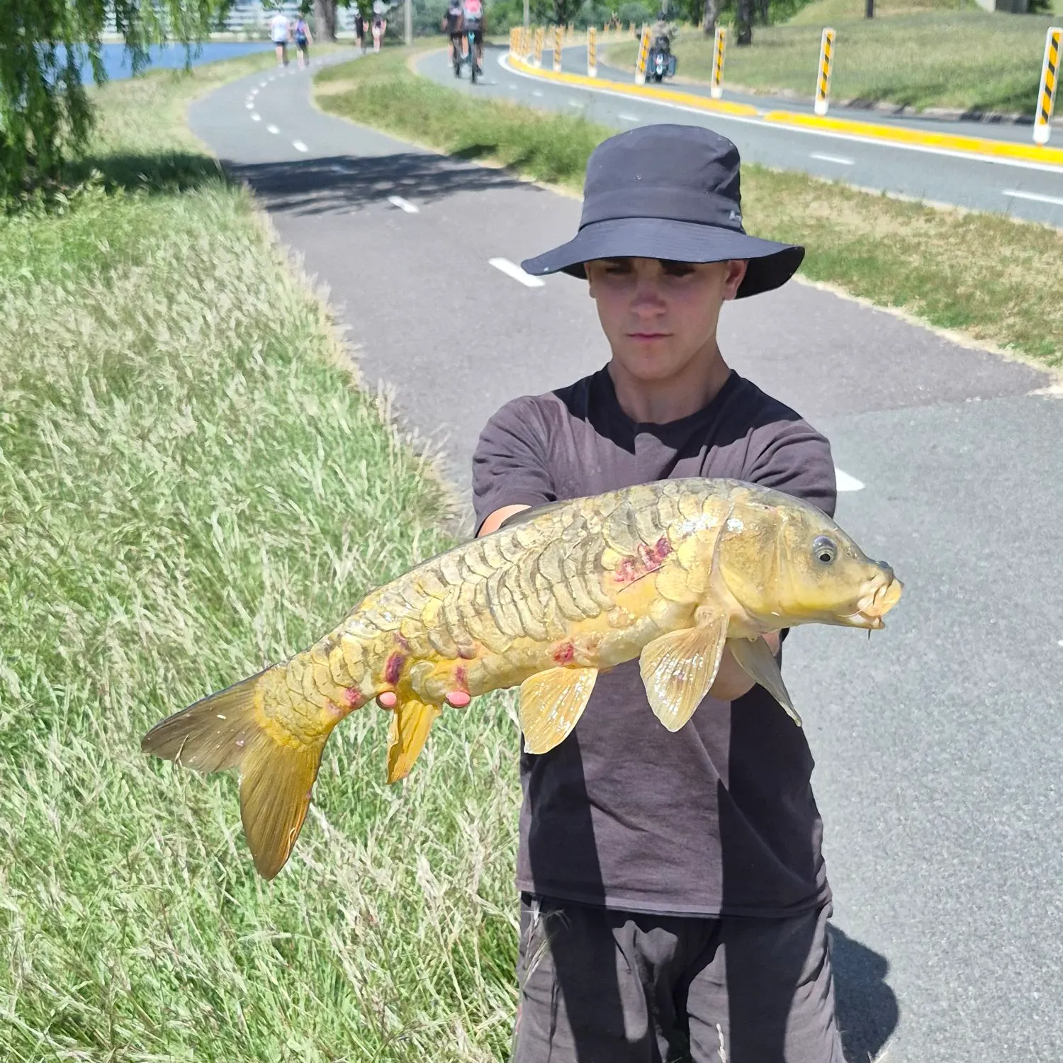 Mirror carp caught on Fishbrain