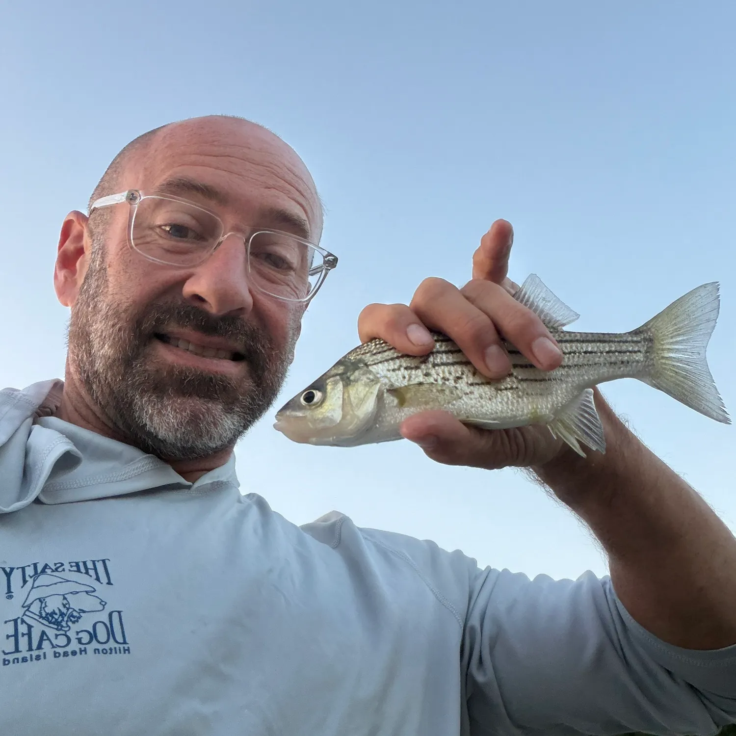 Yellow bass caught on Fishbrain