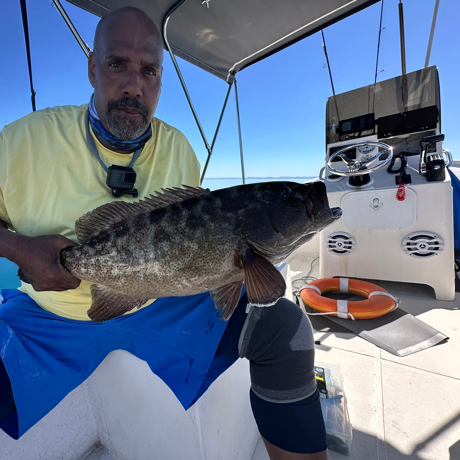 The most recent Leopard coralgrouper catches on Fishbrain