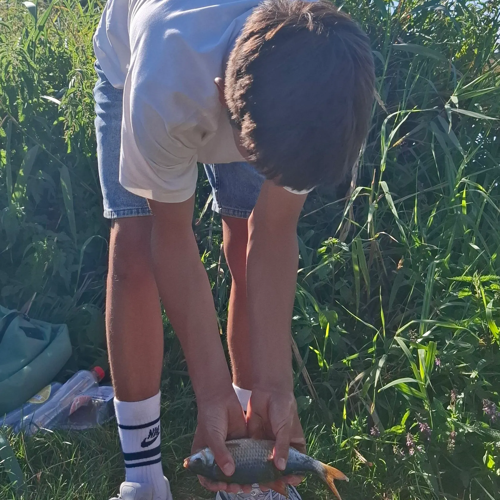 Common roach caught on Fishbrain