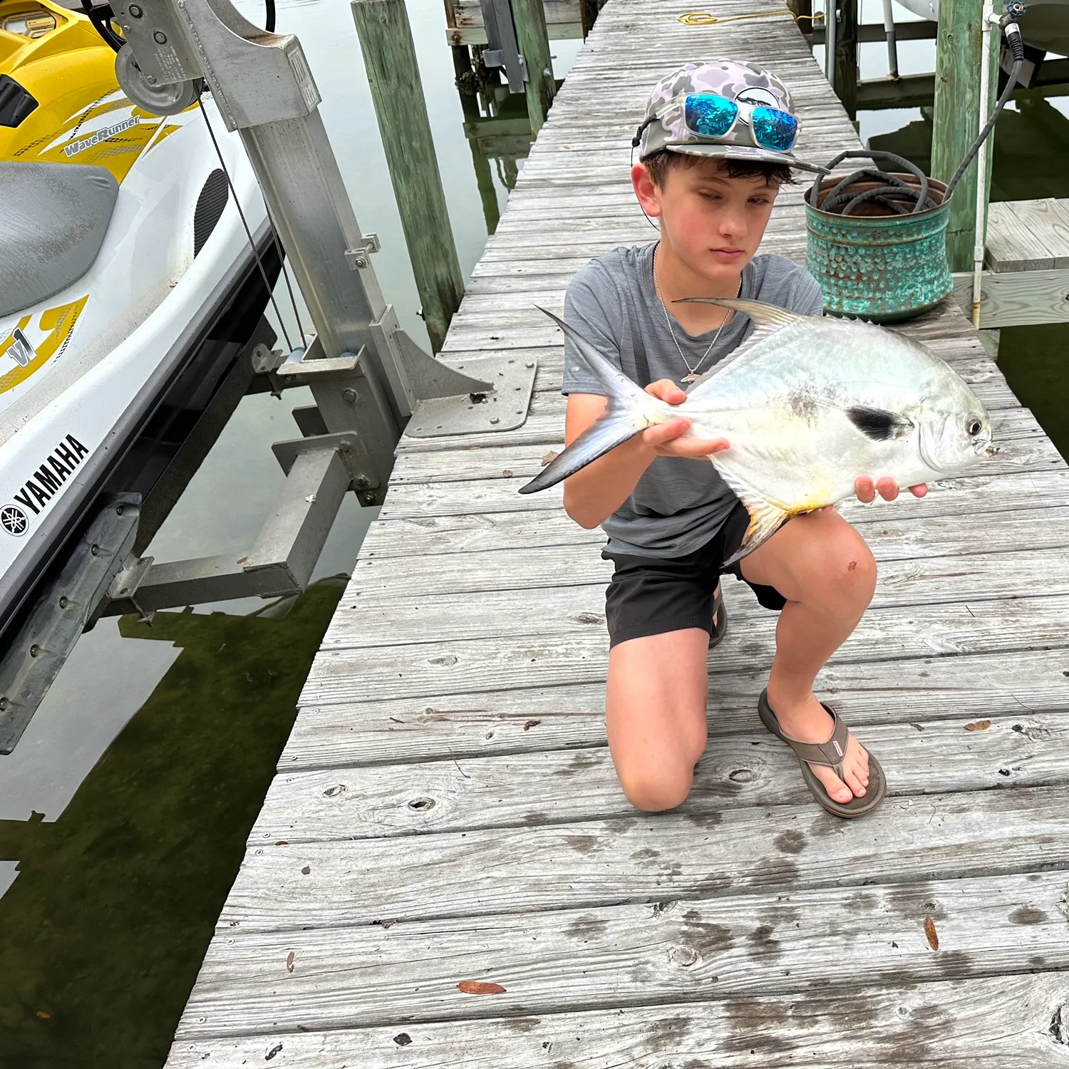 The most recent Permit catches on Fishbrain
