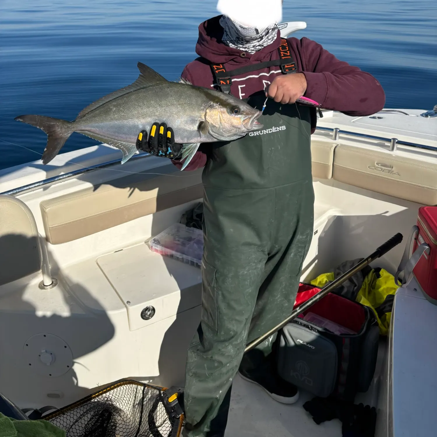 The most recent Lesser amberjack catches on Fishbrain