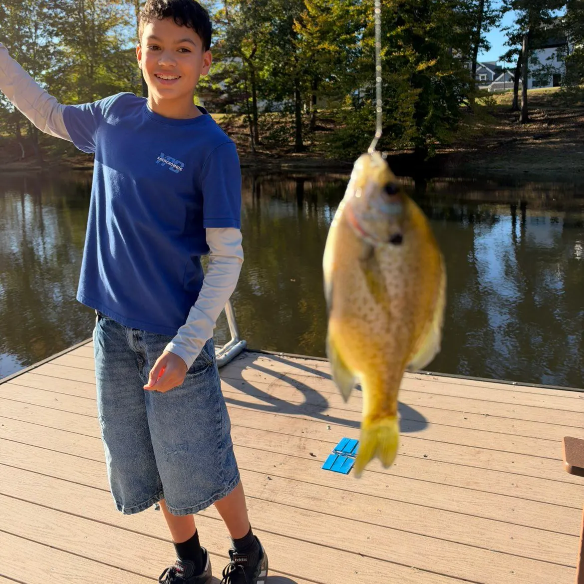Bluegill caught on Fishbrain