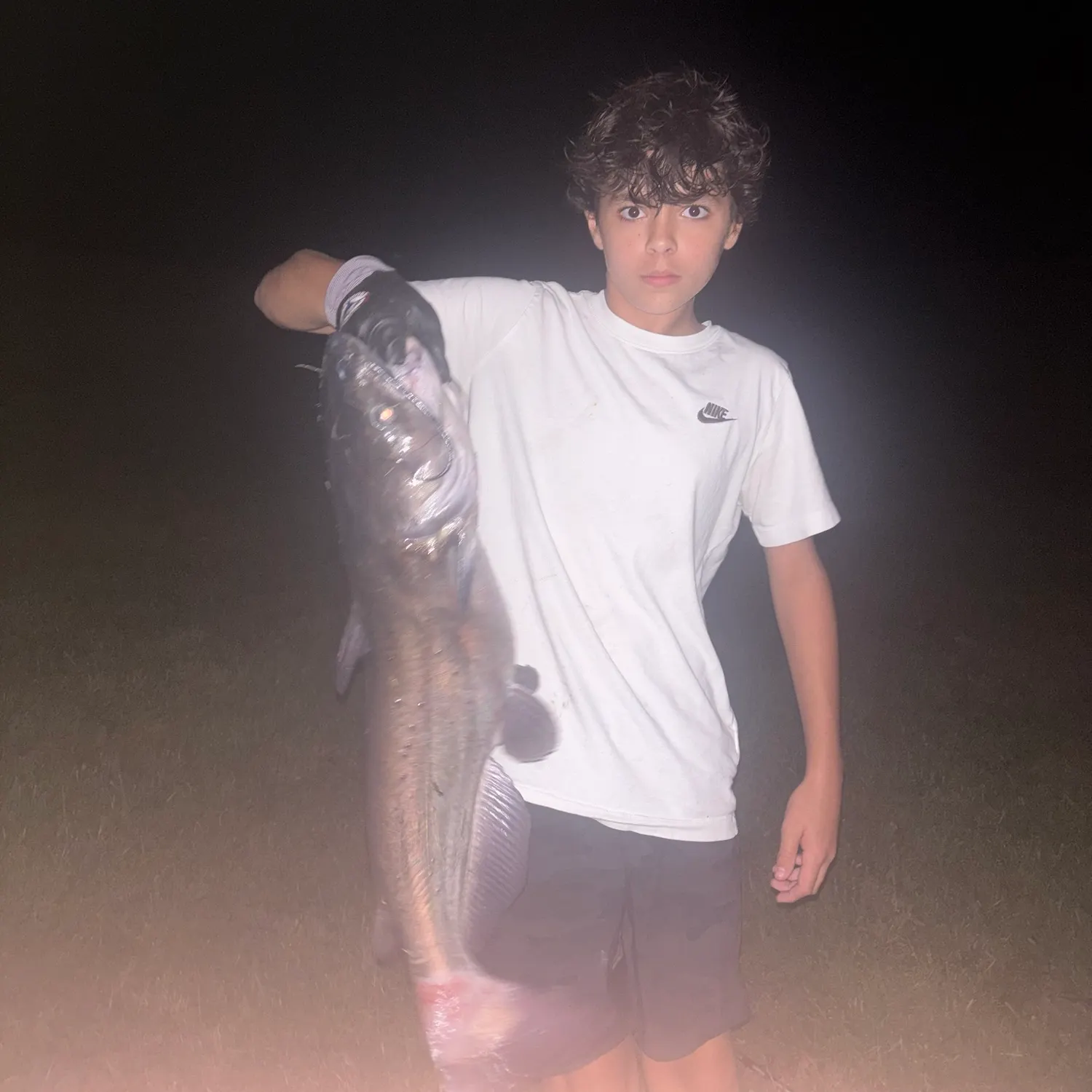 Channel catfish caught on Fishbrain