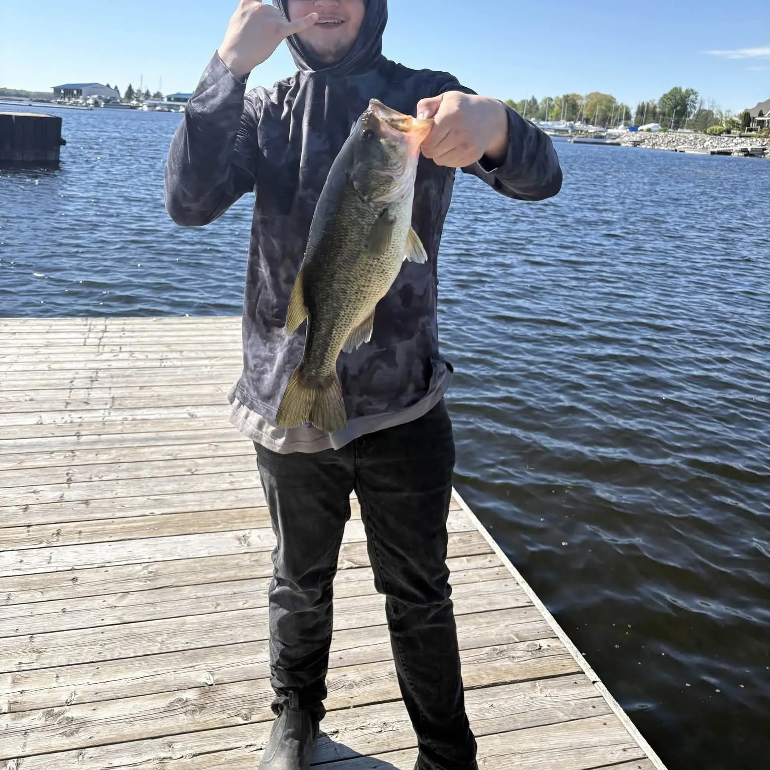 Largemouth bass caught on Fishbrain