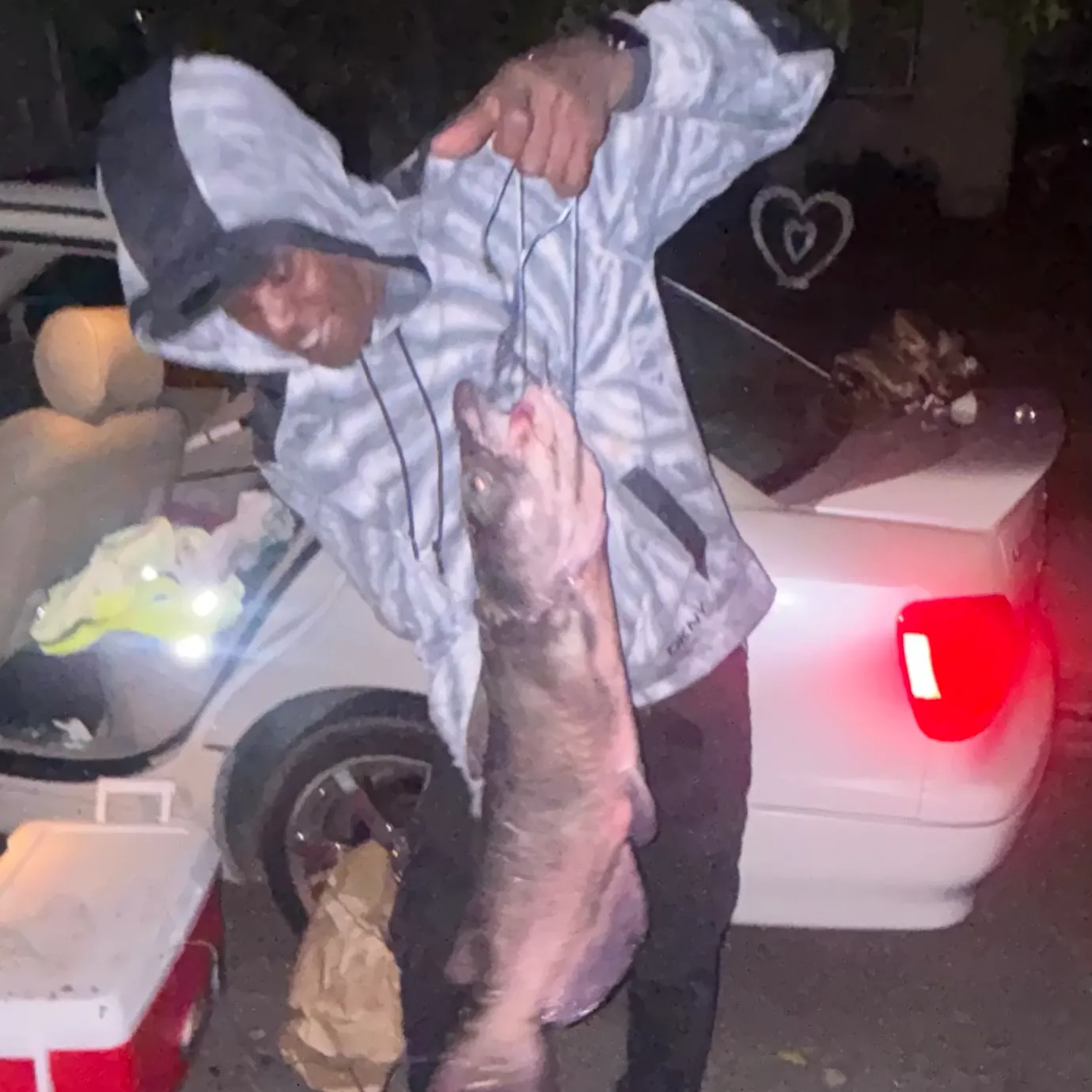 Channel catfish caught on Fishbrain