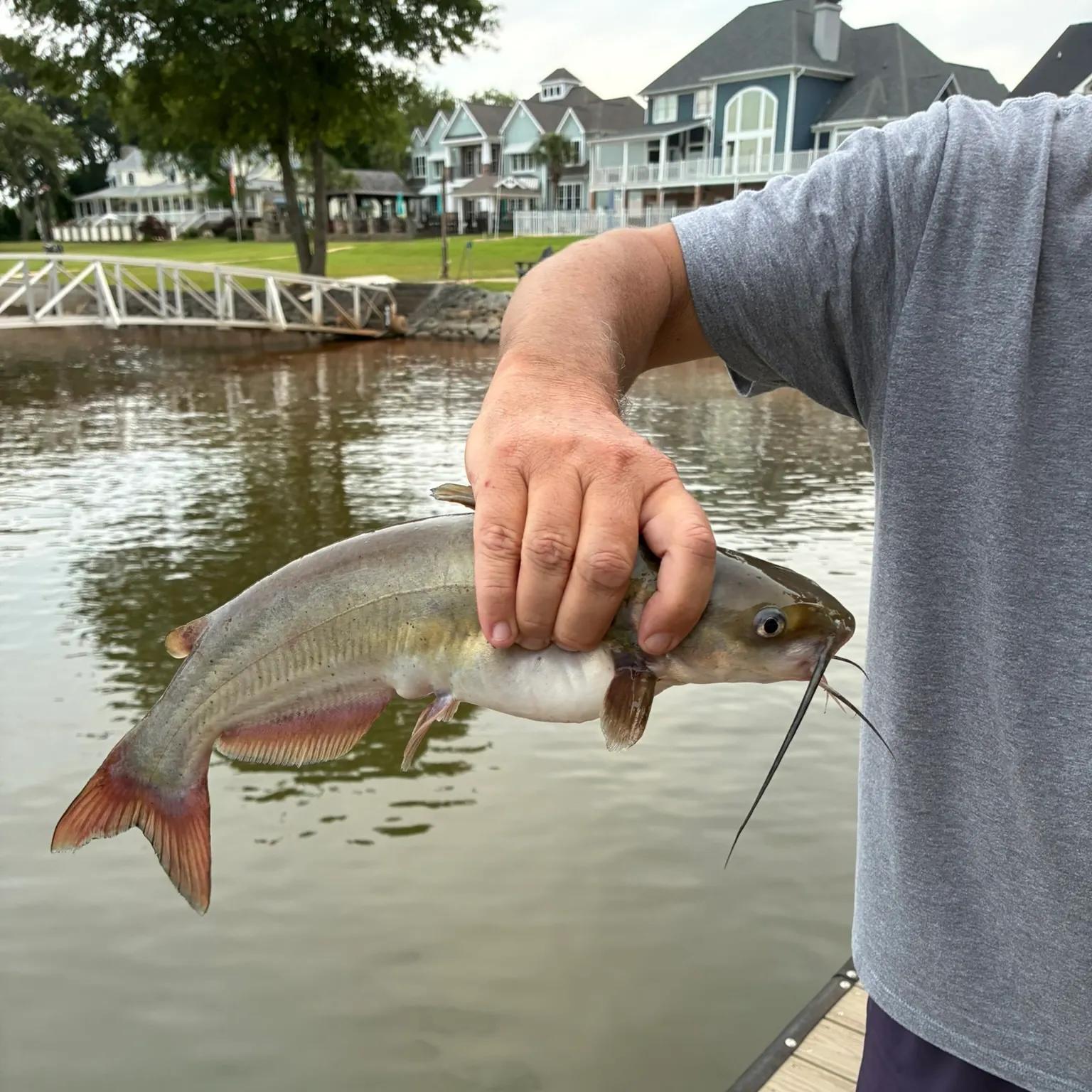 catch