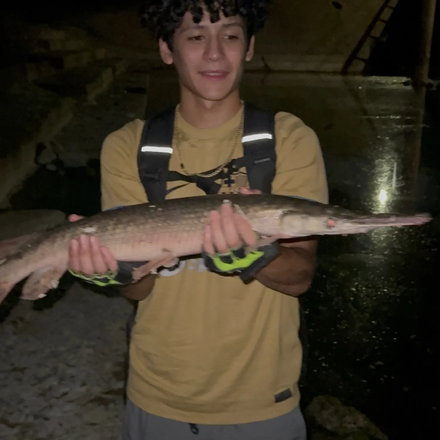 Longnose gar caught on Fishbrain
