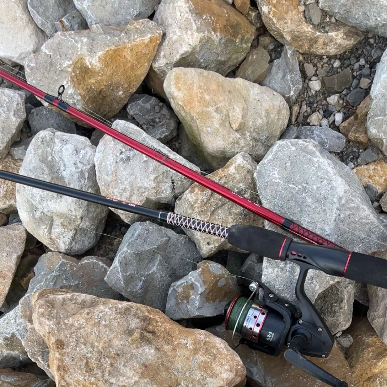 The most recent Freshwater drum catches on Fishbrain