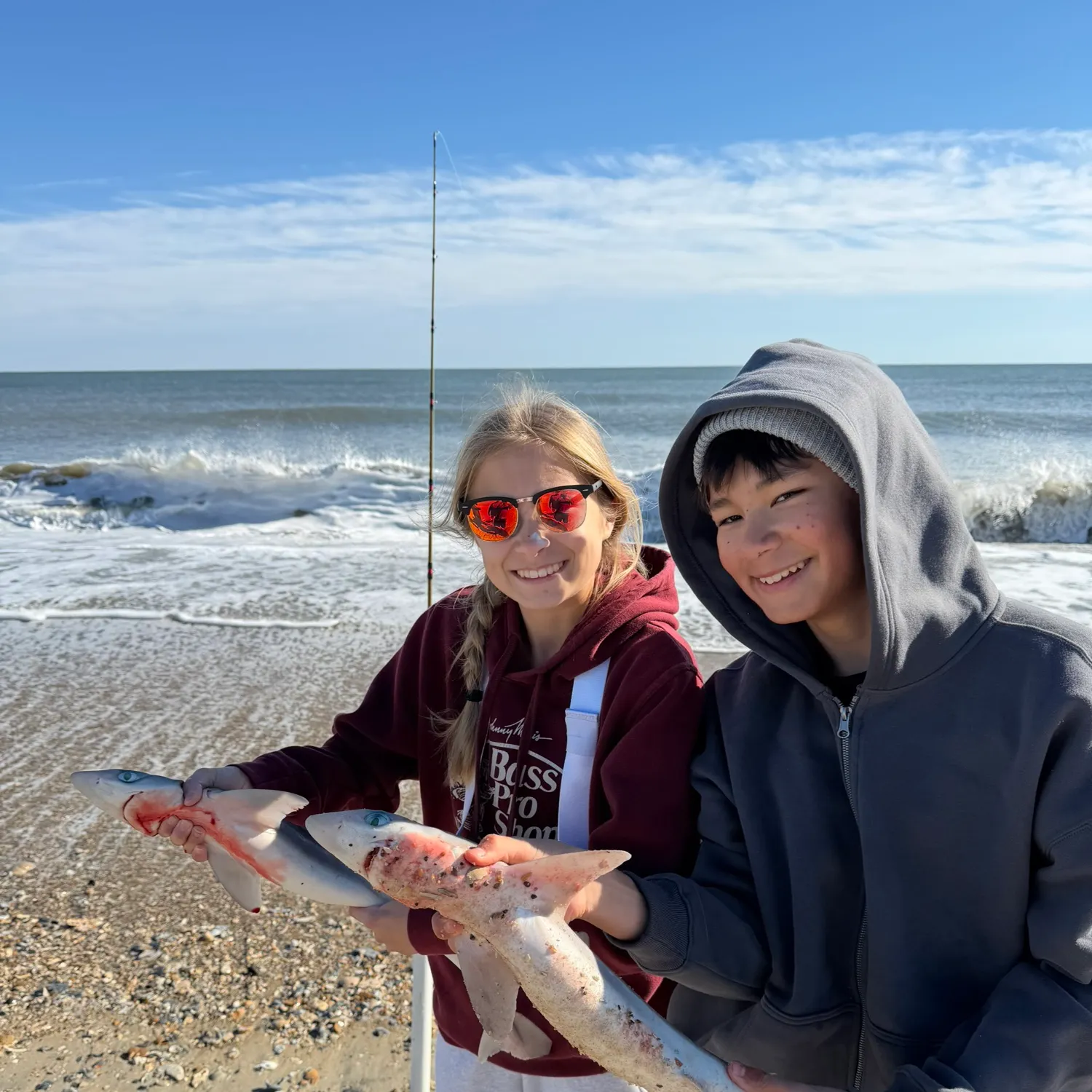 The most recent Pacific spiny dogfish catches on Fishbrain