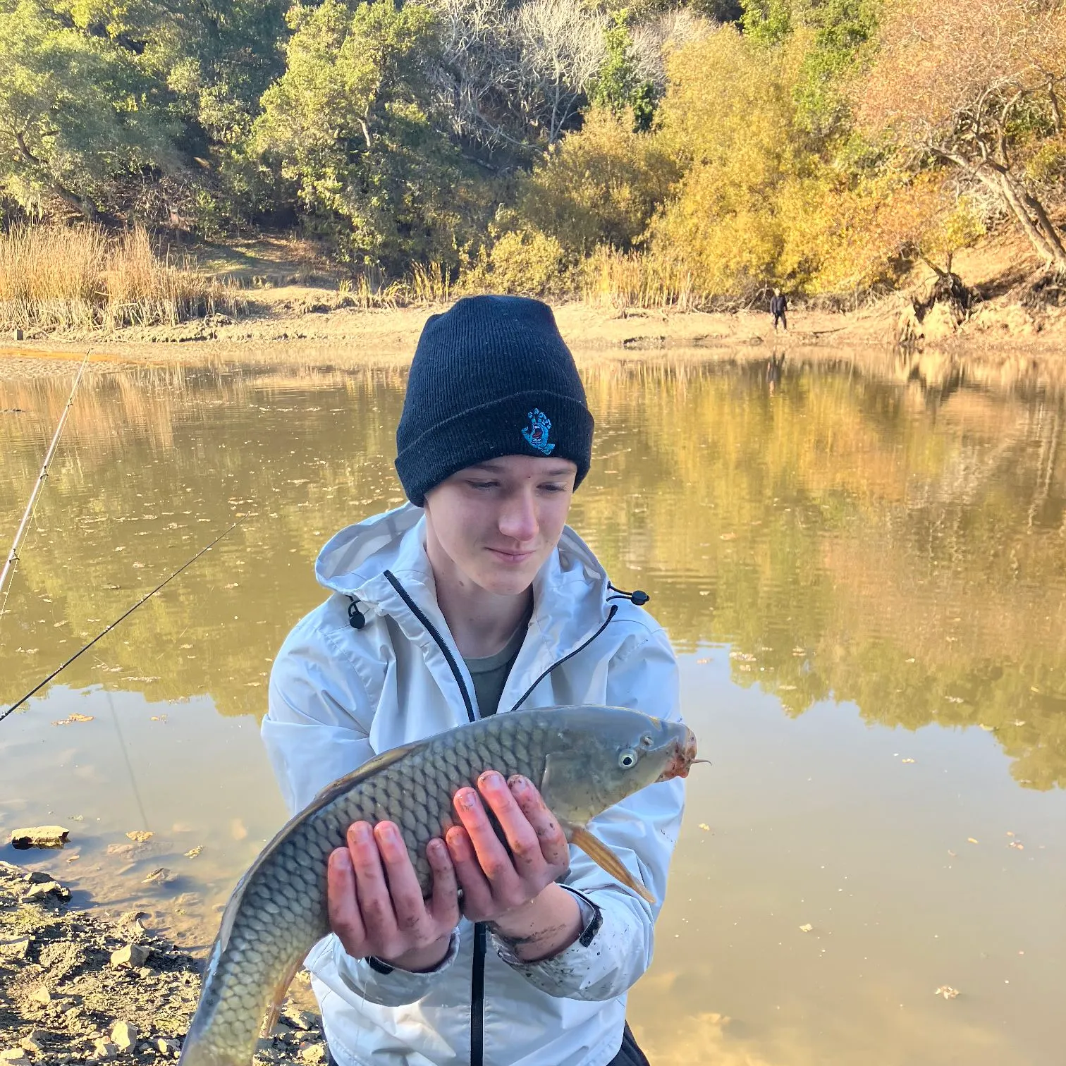 The most recent Common carp catches on Fishbrain