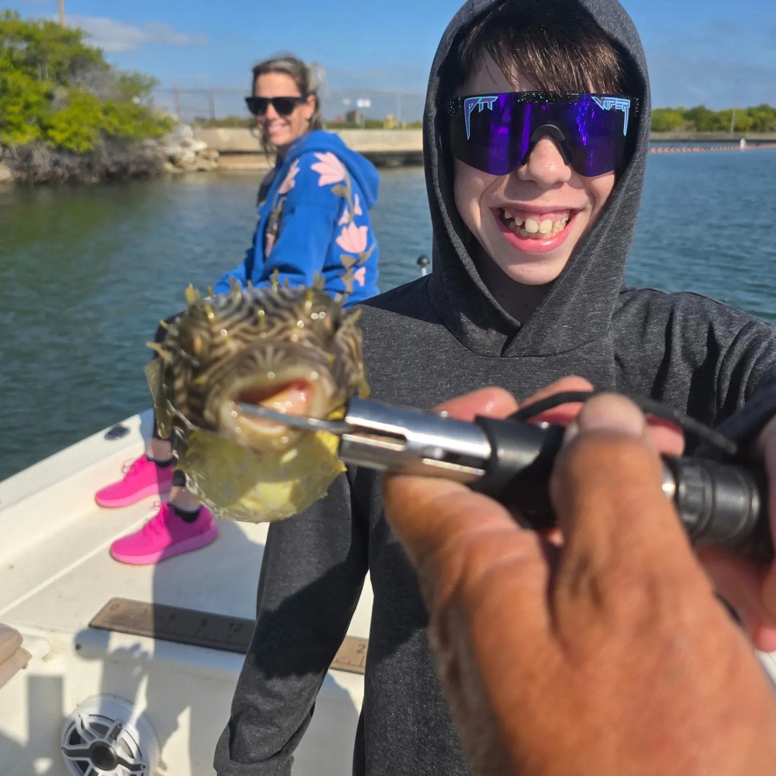 The most recent Spotted green pufferfish catches on Fishbrain