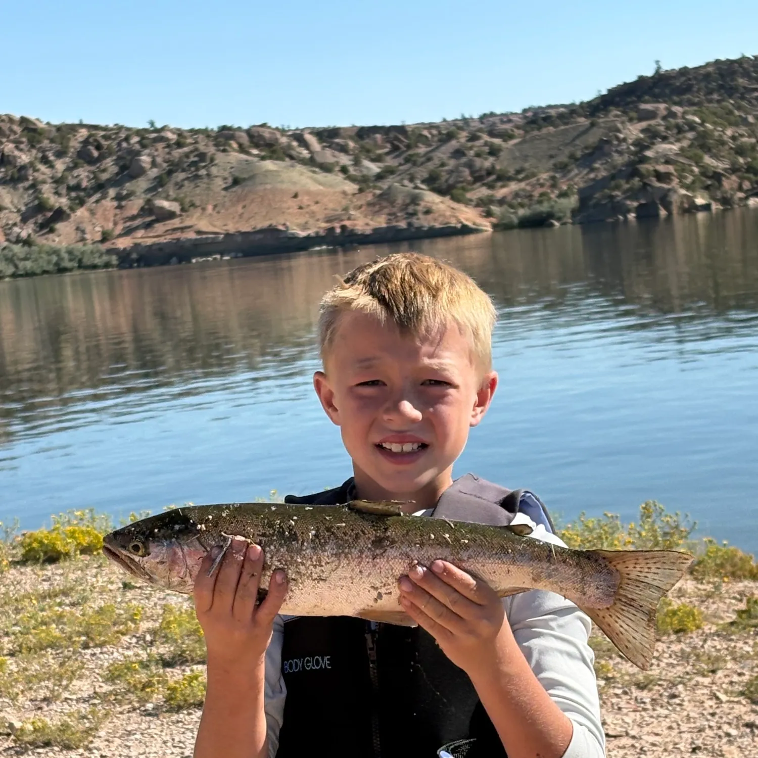 Rainbow trout caught on Fishbrain