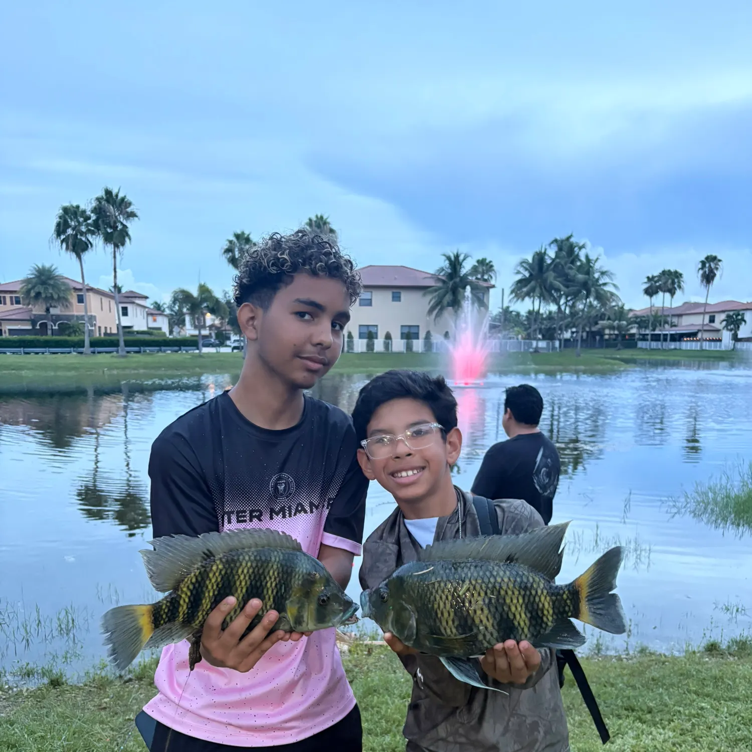 The most recent Zebra tilapia catches on Fishbrain