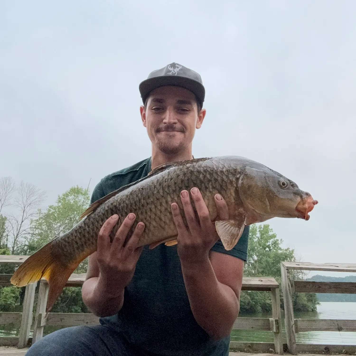 The most recent Common carp catches on Fishbrain