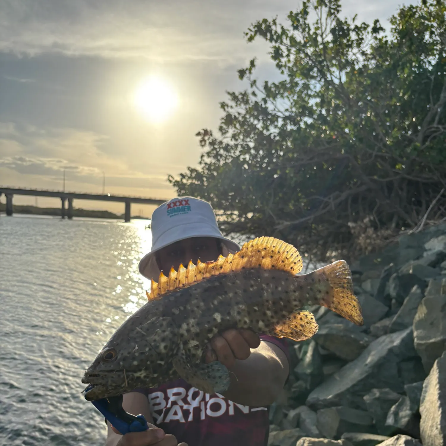 The most recent Saddletail grouper catches on Fishbrain