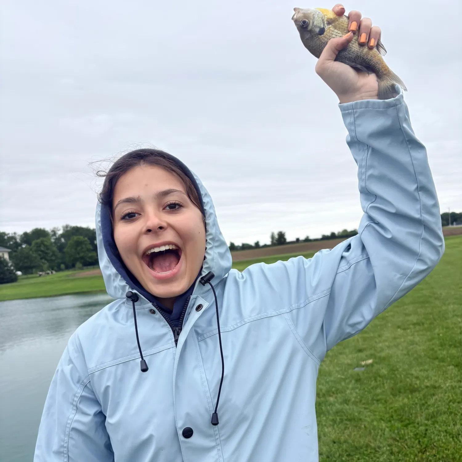 The most recent Ocean sunfish catches on Fishbrain