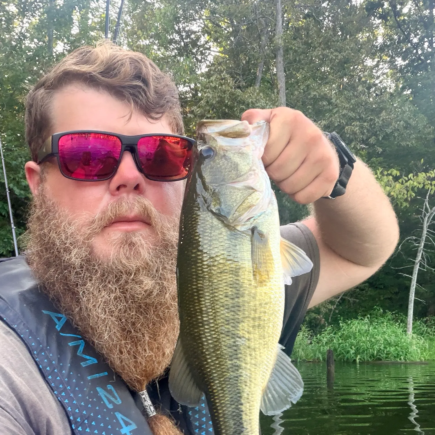 Largemouth bass caught on Fishbrain