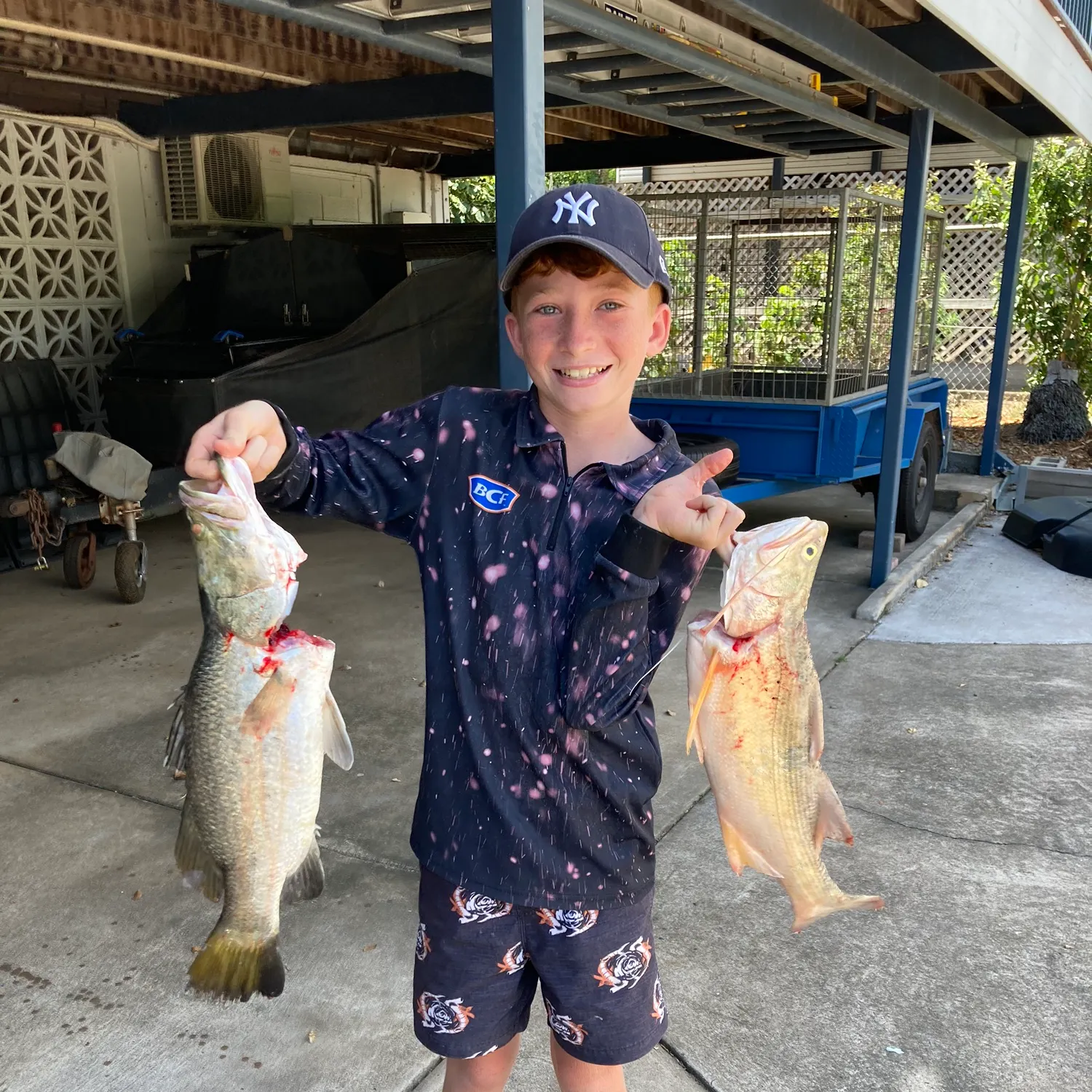 Barramundi caught on Fishbrain