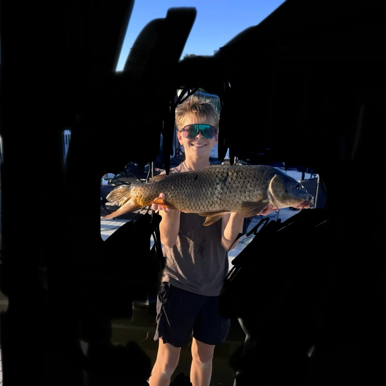 Common carp caught on Fishbrain