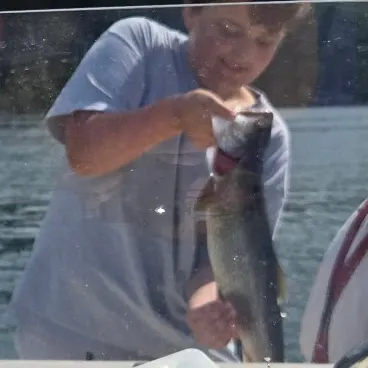 Lake char caught on Fishbrain